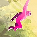 长臂猿：森林彼端