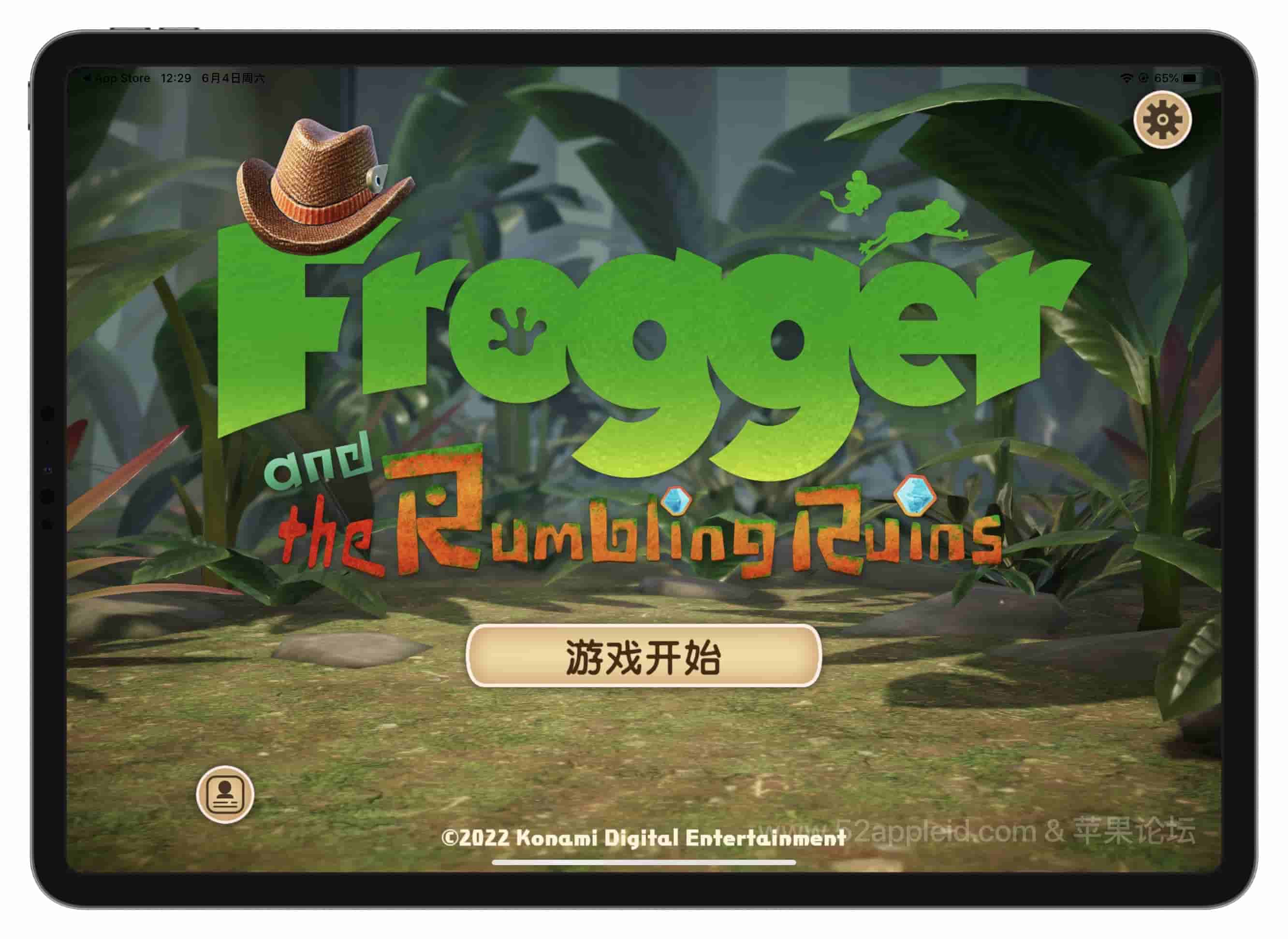 Frogger RR