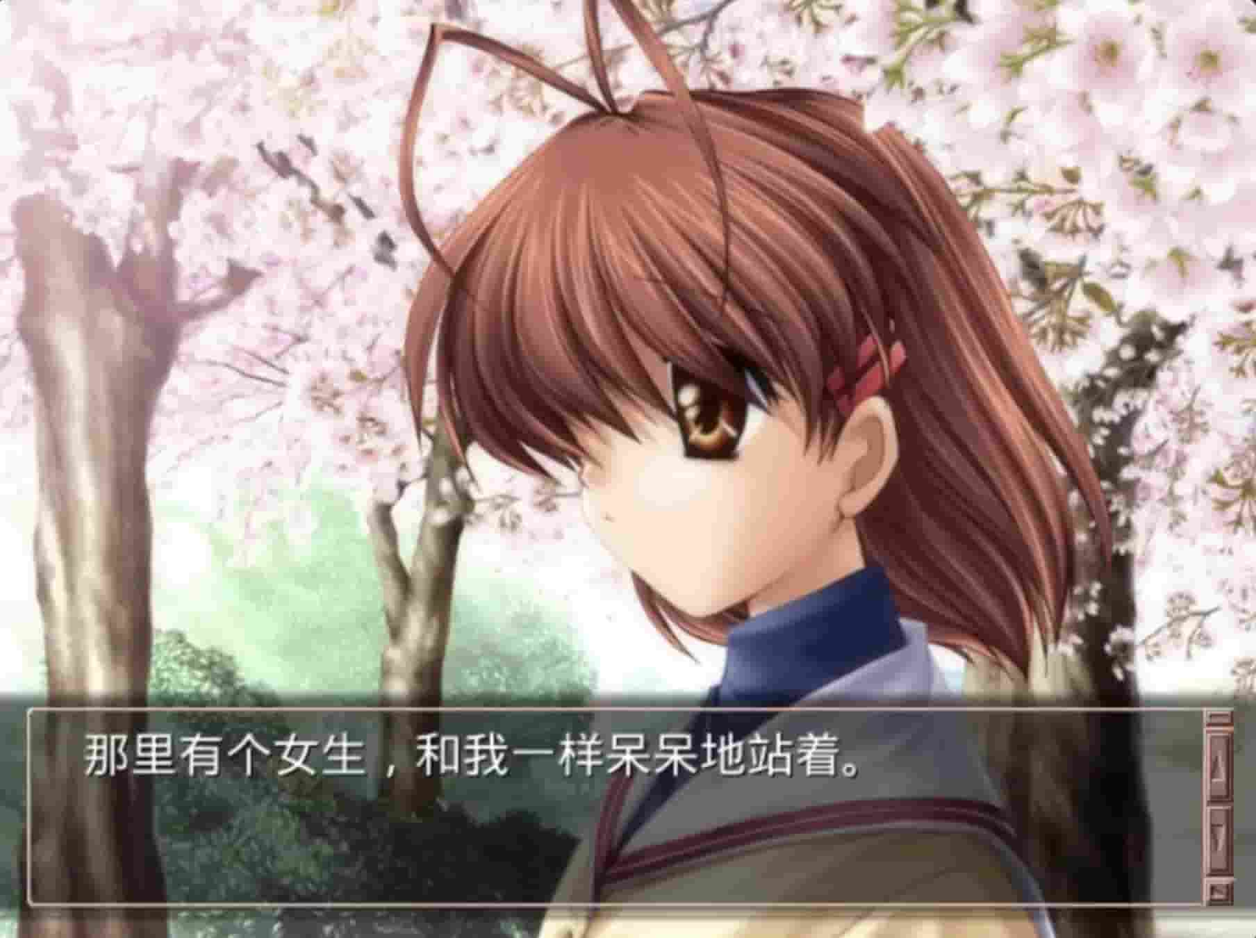 ONSPlayer 截图 4
